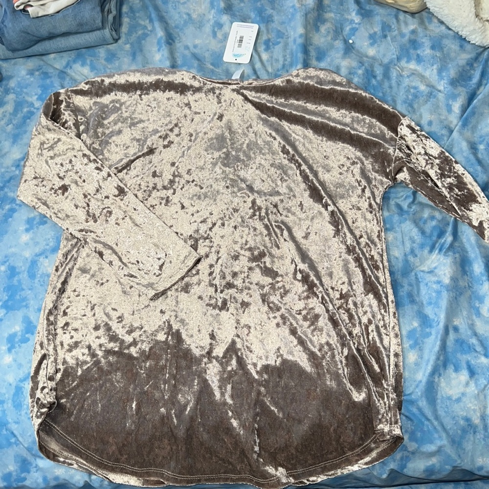 Large Velvet hoodie NWT